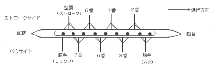 エイトの艇図