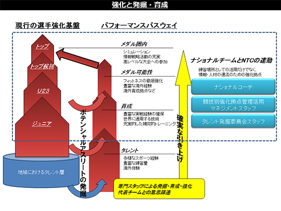 強化と発掘・育成概略図